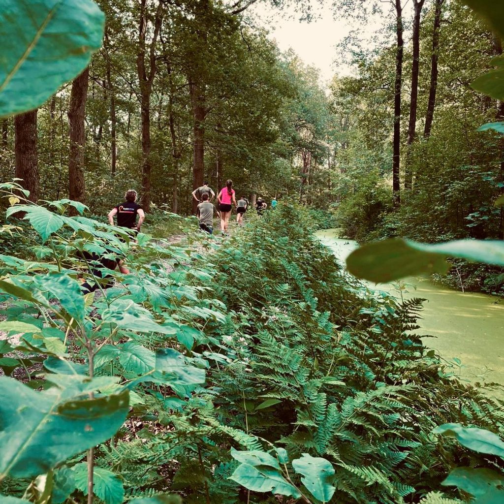 Natuur 't Reestdal outdoor activiteiten